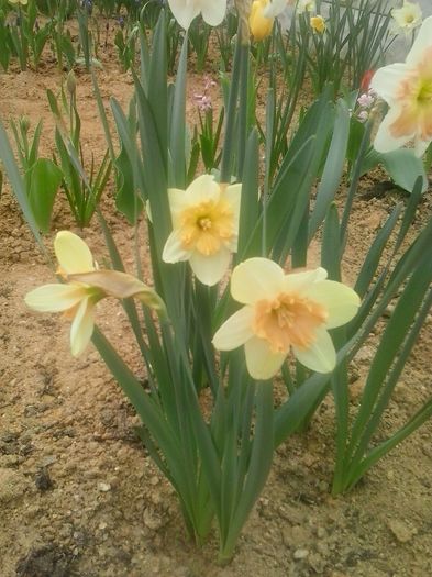 20160408_094849