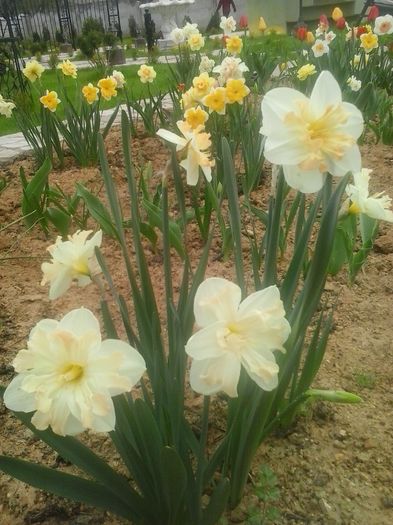 20160408_094852