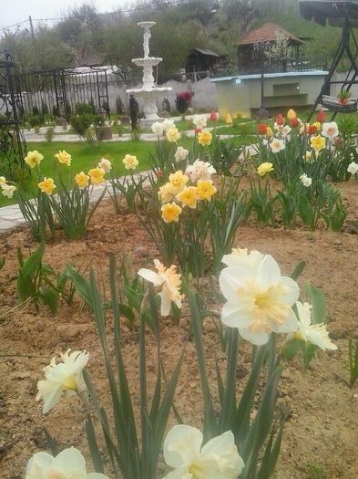 20160408_094856