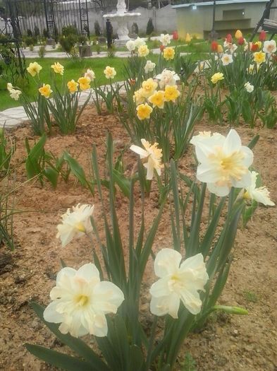 20160408_094913