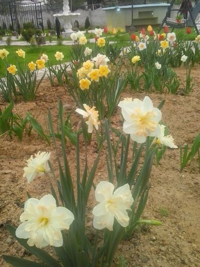 20160408_094915