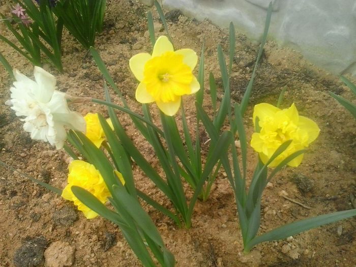 20160408_094923