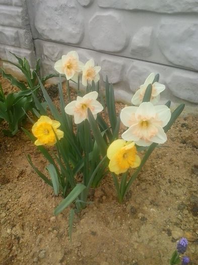 20160408_094939