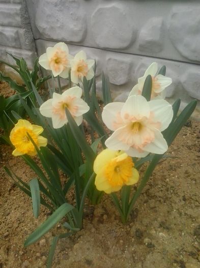 20160408_094942