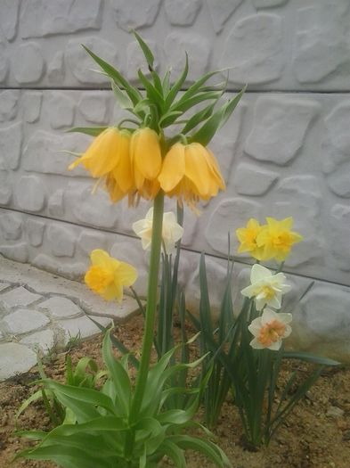 20160408_095002