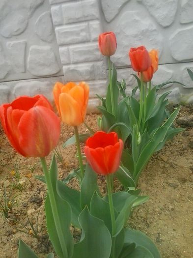20160408_095007