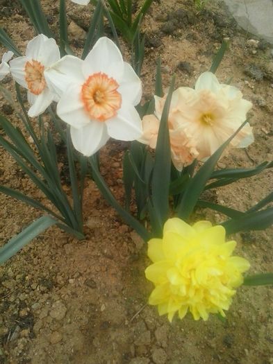 20160408_095055