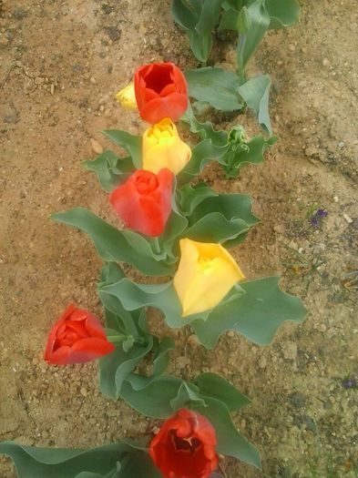 20160408_095104