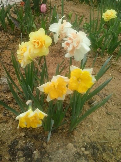20160408_095149