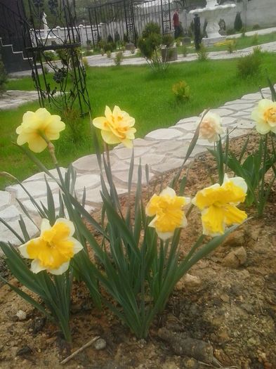 20160408_095152