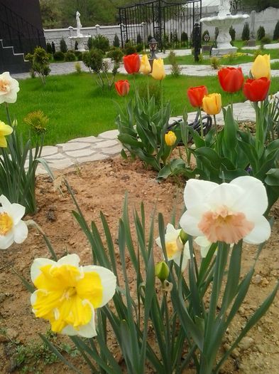 20160408_102103