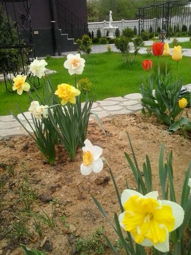 20160408_102105
