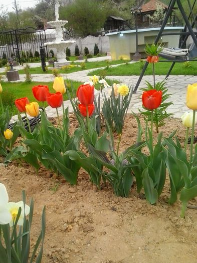20160408_102110