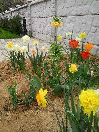 20160408_102113