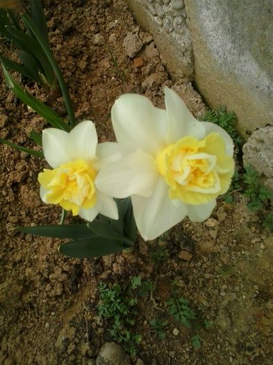 20160408_114046