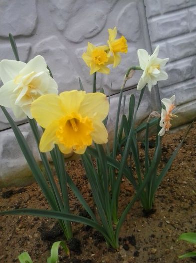 20160410_082649