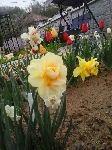 20160410_082718