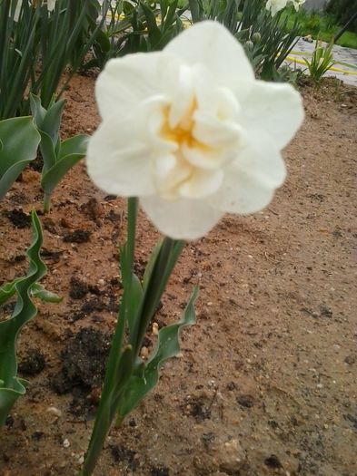 20160410_082751