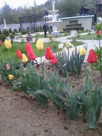 20160410_082909