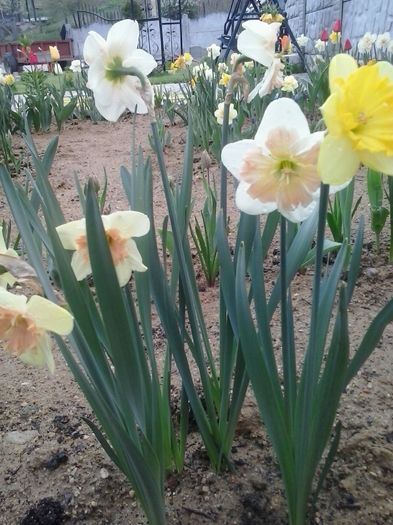 20160410_083030