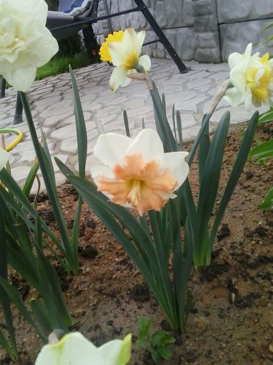 20160410_083119