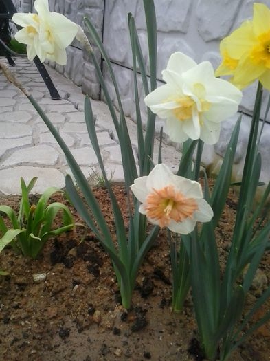 20160410_083145