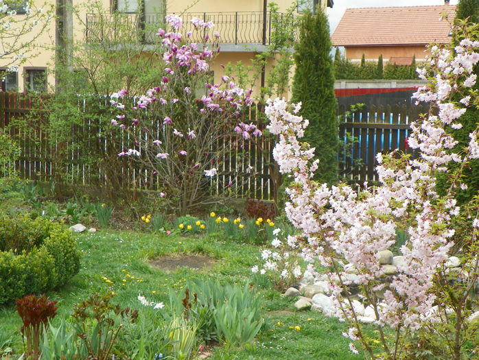 10 apr (4) - Gradina 2016