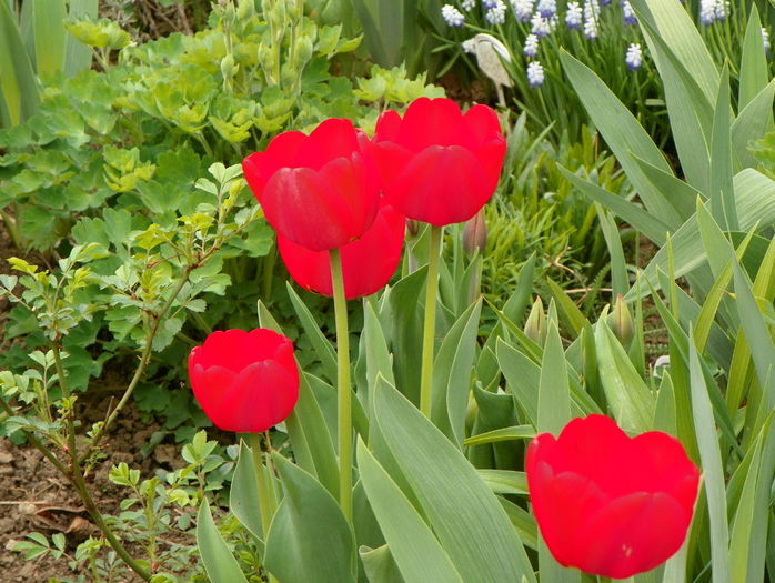10 apr (8)