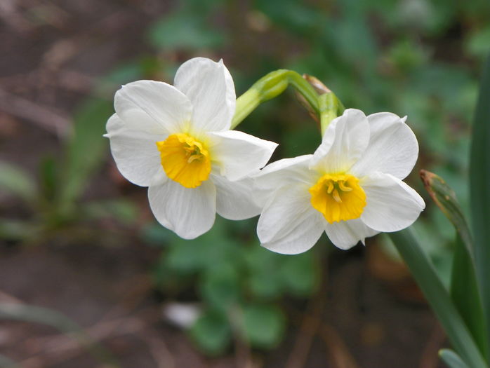 10 apr (58)