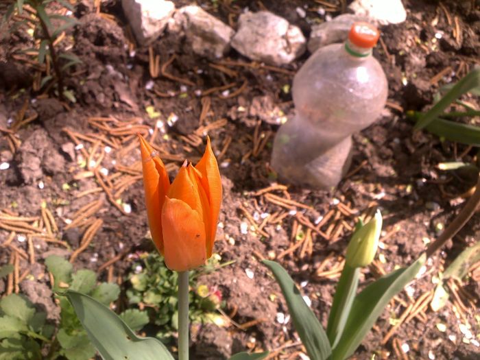 090420162968