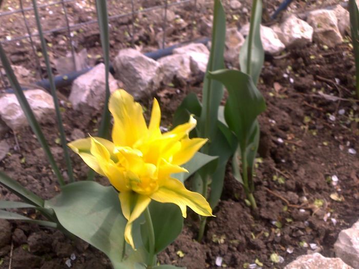 090420162983