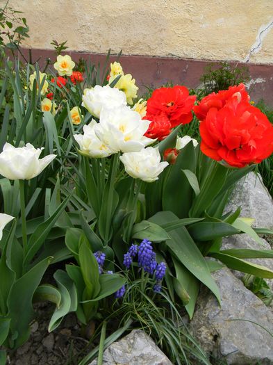  - 3 Gradina 2016