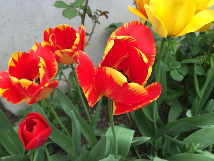 09.04.2016