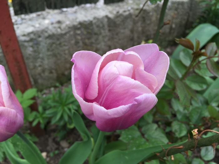 09.04.2016