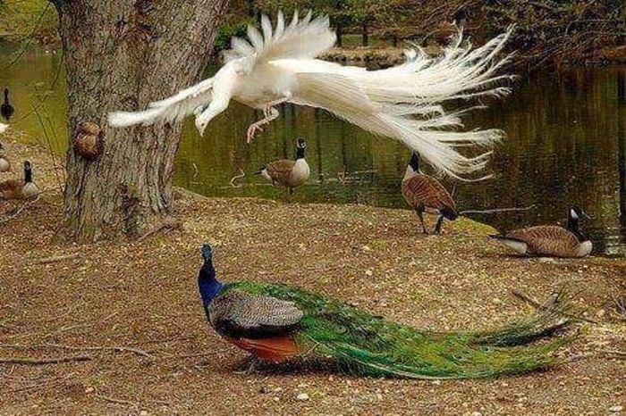 FB_IMG_1460369826919