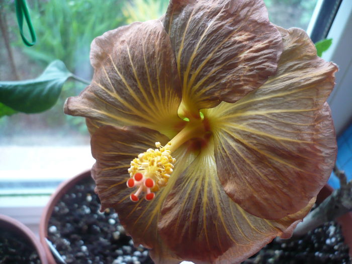 P1250716