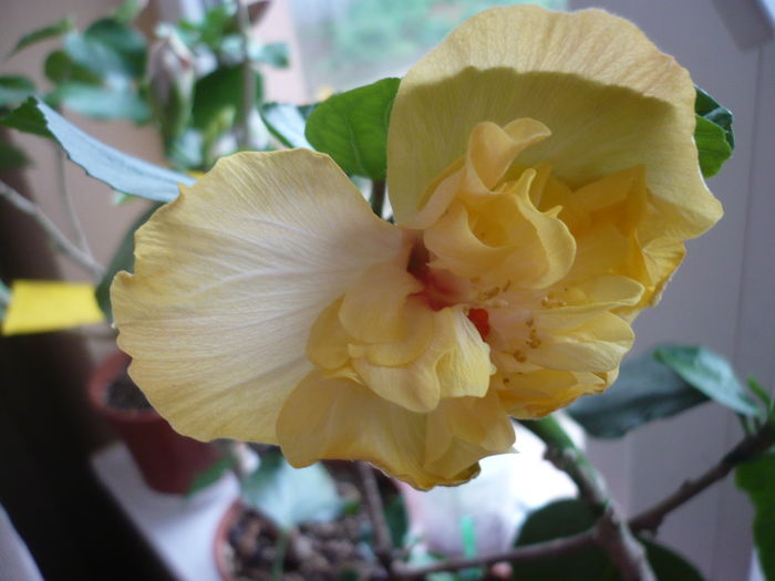P1250718