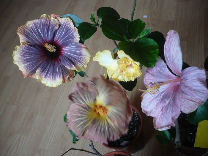 P1250721