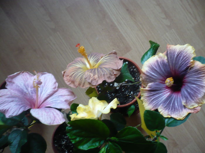 P1250724