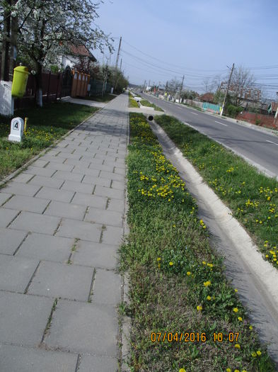 IMG_0540 - Strada principala din Snagov sat Ciofliceni si imprejurimi