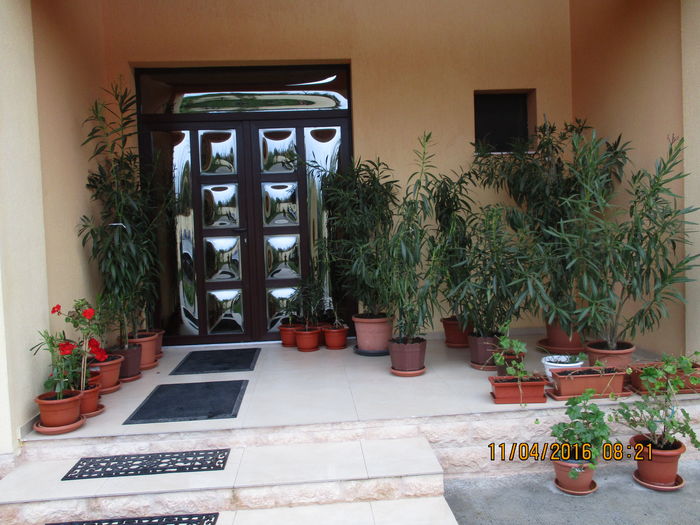 IMG_0589 - LEANDRII MEI IN 2016