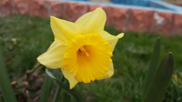 2016-04-06 18.32.02