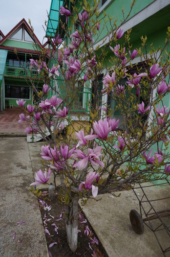 DSC06867