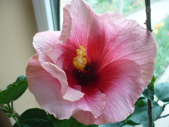 P1250735
