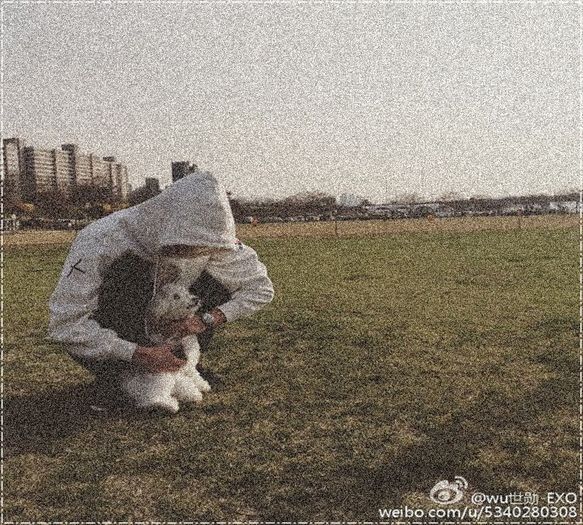 ╳ 238 days l 11.04.2016 ╳