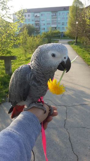 12994562_974339689328364_7673241981206636052_n