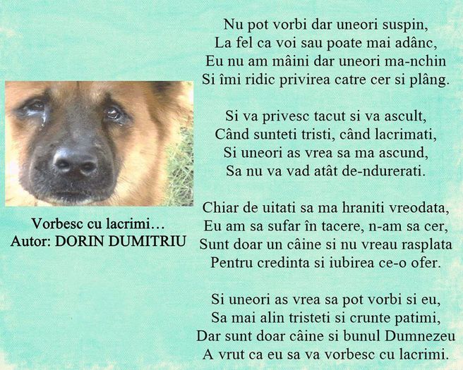 Vorbesc cu lacrimi ... - 1__1 Contact
