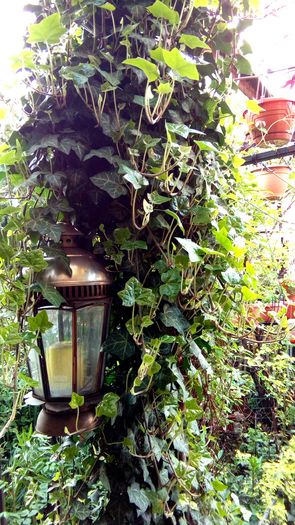 IMG_20160412_184158_505