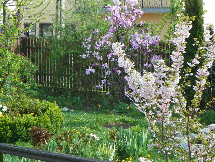 13 apr (101) - Gradina 2016