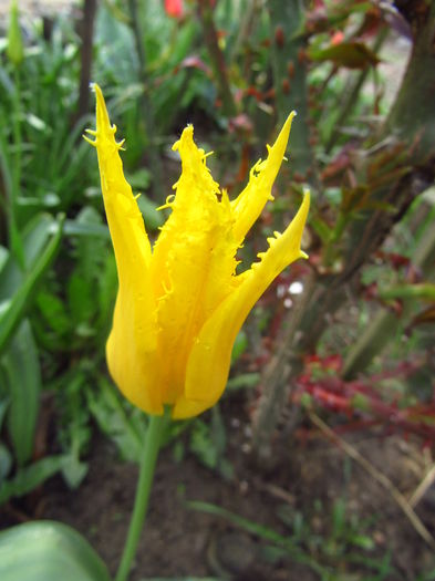 13 april 2016 025